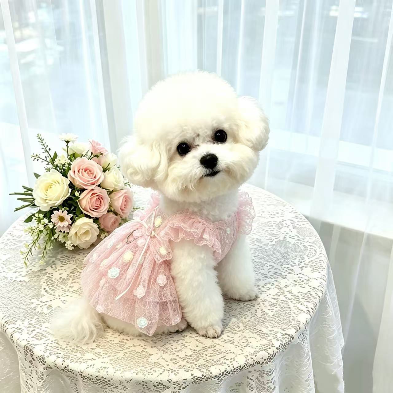 فستان شيفون للحيوانات الأليفة  - مراجعة Summer Rose Clothing وسعره