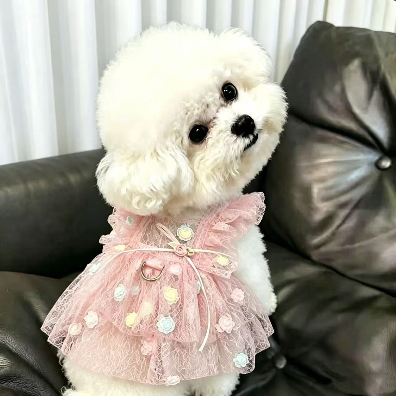 فستان شيفون للحيوانات الأليفة  - مراجعة Summer Rose Clothing وسعره